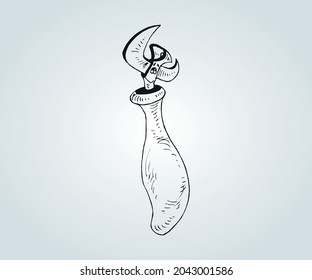 abstract cooking object and instrument for illustration