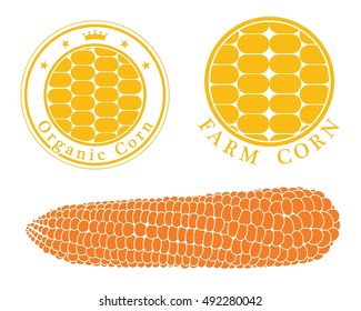 Abstract corn and boiled corn on white background. EPS 10. Vector illustration