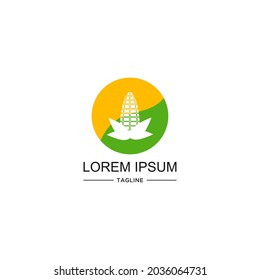 Abstract Corn logo design. Corn plant icon vector design. Circle design
