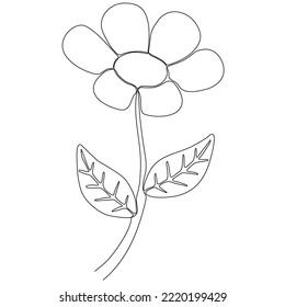 
Abstract cosmos line drawing on white background. flower line drawing. Continuous line