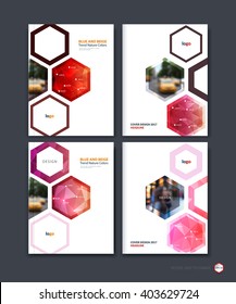 Abstract cover design, business brochure template layout, report, booklet in A4 with red hexagonal geometric shapes on polygonal background. Creative vector Illustration.