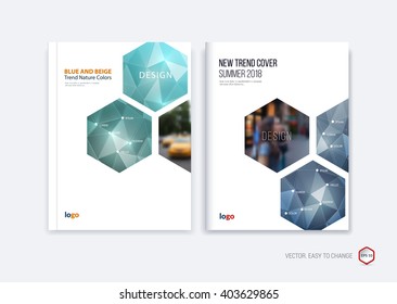 Abstract cover design, business brochure template layout, report, booklet in A4 with grey blue metal hexagonal geometric shapes on polygonal background. Creative vector Illustration.