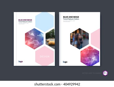 Abstract cover design, business brochure template layout, report, booklet in A4 with blue  red hexagonal geometric shapes on polygonal background. Creative vector Illustration.