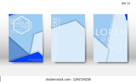 Abstract cover with hexagon elements. book design concept. Futuristic business layout. Digital poster template. Design Vector - eps10