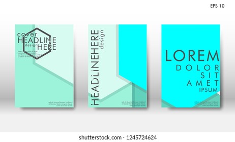 Abstract cover with hexagon elements. book design concept. Futuristic business layout. Digital poster template. Design Vector - eps10