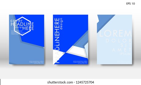 Abstract cover with hexagon elements. book design concept. Futuristic business layout. Digital poster template. Design Vector - eps10