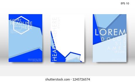 Abstract cover with hexagon elements. book design concept. Futuristic business layout. Digital poster template. Design Vector - eps10