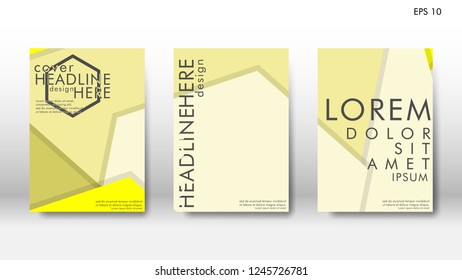 Abstract cover with hexagon elements. book design concept. Futuristic business layout. Digital poster template. Design Vector - eps10
