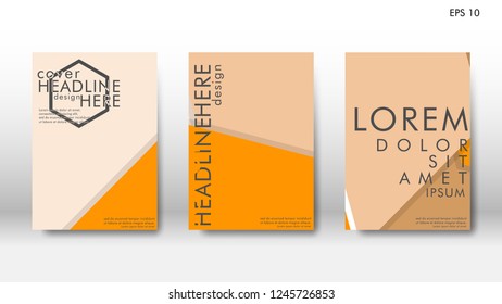 Abstract cover with hexagon elements. book design concept. Futuristic business layout. Digital poster template. Design Vector - eps10