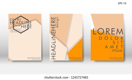 Abstract cover with hexagon elements. book design concept. Futuristic business layout. Digital poster template. Design Vector - eps10