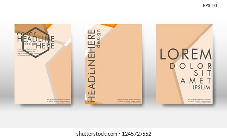 Abstract cover with hexagon elements. book design concept. Futuristic business layout. Digital poster template. Design Vector - eps10