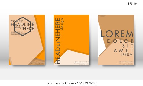 Abstract cover with hexagon elements. book design concept. Futuristic business layout. Digital poster template. Design Vector - eps10
