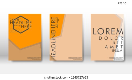 Abstract cover with hexagon elements. book design concept. Futuristic business layout. Digital poster template. Design Vector - eps10