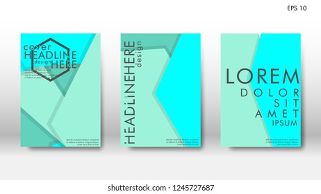 Abstract cover with hexagon elements. book design concept. Futuristic business layout. Digital poster template. Design Vector - eps10
