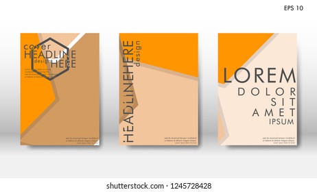 Abstract cover with hexagon elements. book design concept. Futuristic business layout. Digital poster template. Design Vector - eps10