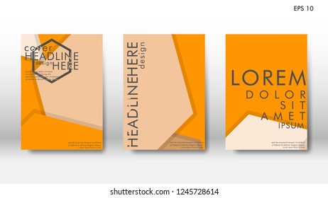 Abstract cover with hexagon elements. book design concept. Futuristic business layout. Digital poster template. Design Vector - eps10