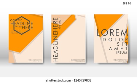 Abstract cover with hexagon elements. book design concept. Futuristic business layout. Digital poster template. Design Vector - eps10