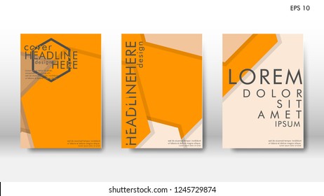 Abstract cover with hexagon elements. book design concept. Futuristic business layout. Digital poster template. Design Vector - eps10