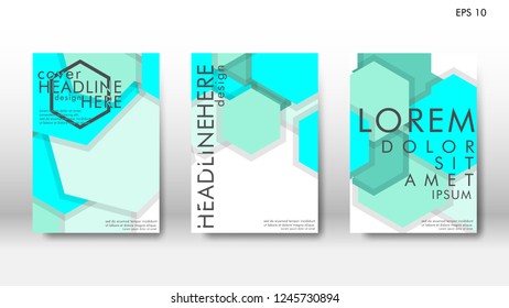 Abstract cover with hexagon elements. book design concept. Futuristic business layout. Digital poster template. Design Vector - eps10