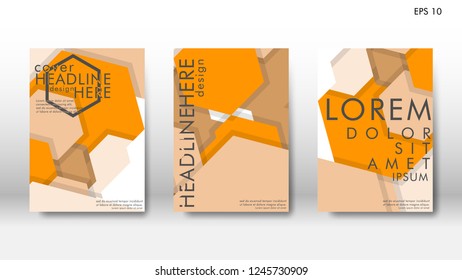 Abstract cover with hexagon elements. book design concept. Futuristic business layout. Digital poster template. Design Vector - eps10