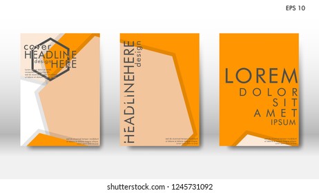 Abstract cover with hexagon elements. book design concept. Futuristic business layout. Digital poster template. Design Vector - eps10
