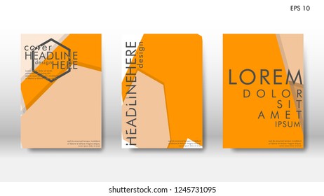 Abstract cover with hexagon elements. book design concept. Futuristic business layout. Digital poster template. Design Vector - eps10