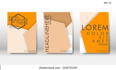 Abstract cover with hexagon elements. book design concept. Futuristic business layout. Digital poster template. Design Vector - eps10