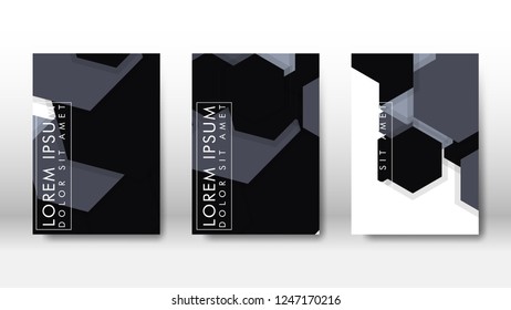 Abstract cover with hexagon elements. book design concept. Futuristic business layout. Digital poster template. Design Vector - eps10