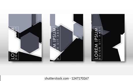 Abstract cover with hexagon elements. book design concept. Futuristic business layout. Digital poster template. Design Vector - eps10