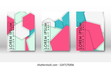 Abstract cover with hexagon elements. book design concept. Futuristic business layout. Digital poster template. Design Vector - eps10
