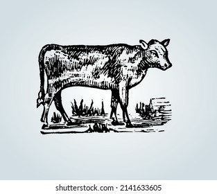 Abstract cow with shading techniques for illustration