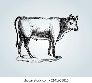 Abstract cow with shading techniques for illustration