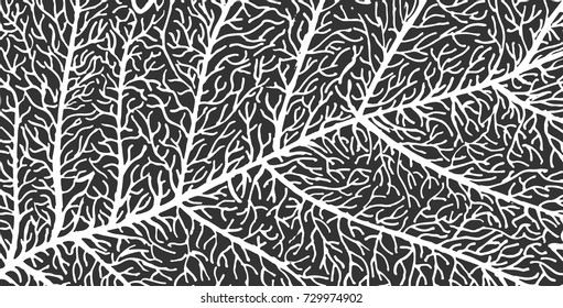 abstract craft  background from ramification of flowing lines and paths monochrome white and black