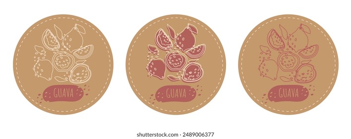 Abstract Craft set of three round fruit sticker labels. Trending fruit guava with lines and shapes. Vector outline set for design.