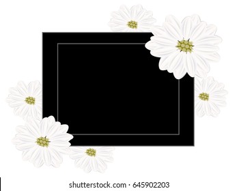 Abstract creative banner with flowers chamomile.