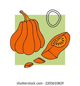 Resumen composición creativa, linda ilustración vectorial de otoño, calabazas dibujadas a mano