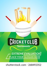abstract cricket background with ball