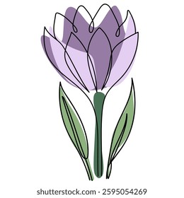 Abstract crocus flowers in modern line art style. Minimal botanical design for posters and cards  
