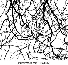abstract curve lines