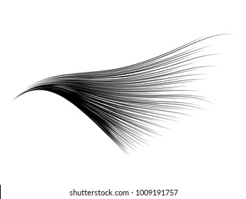 Abstract curved lines stroke isolated on white background for vector illustration design element