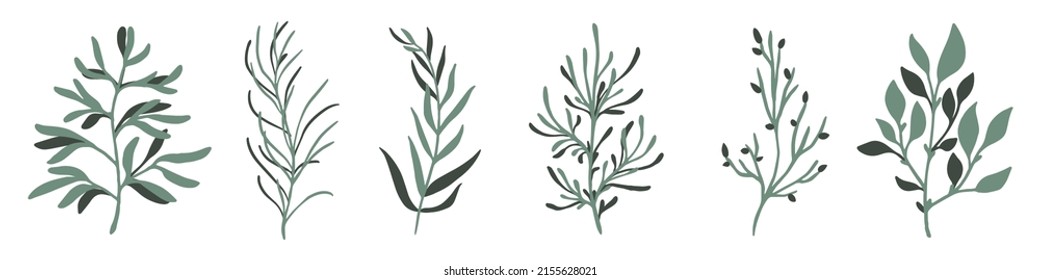 Abstract cute branches. Hand drawn branch with leaves. Set of leaves. Branch icon. Vector illustration