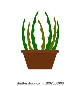 Abstract cute cactus