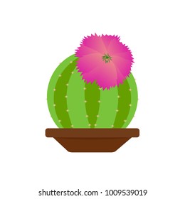 Abstract cute cactus