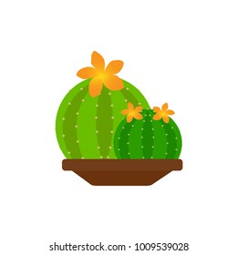 Abstract cute cactus
