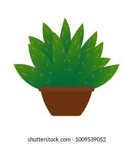 Abstract cute cactus