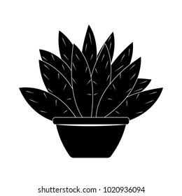Abstract cute cactus