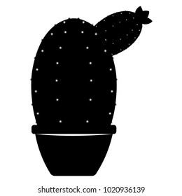 Abstract cute cactus