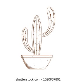 Abstract cute cactus