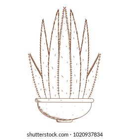 Abstract cute cactus