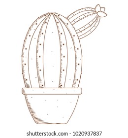 Abstract cute cactus